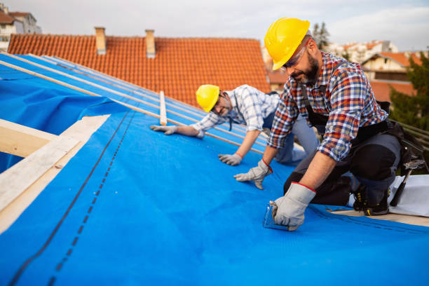 Best Roof Gutter Cleaning  in Brodhead, WI